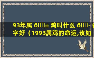 93年属 🐱 鸡叫什么 🌷 名字好（1993属鸡的命运,该如何取名）